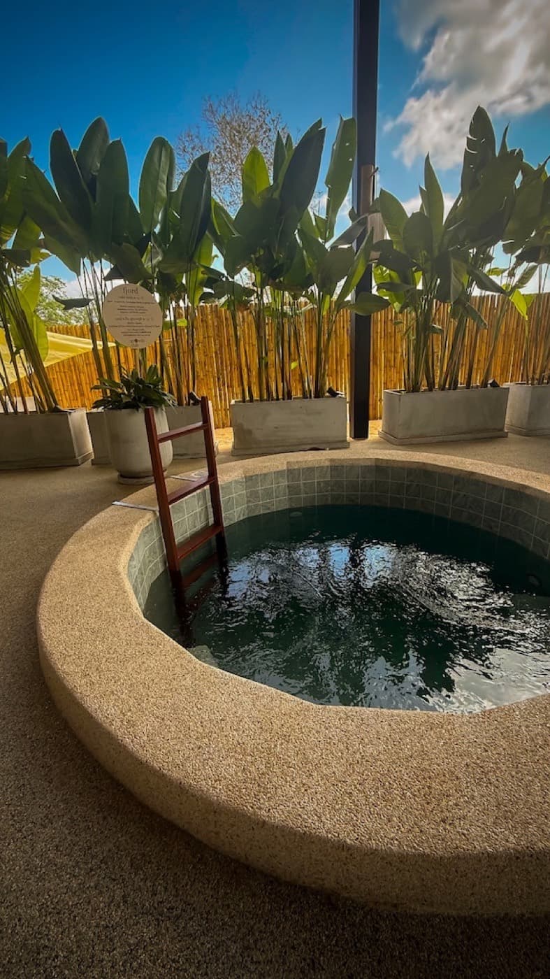 A person lowering into a cold plunge pool surrounded by tropical greenery at Growth Club in Ao Nang, Krabi
